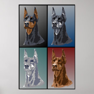 Doberman Färg Poster