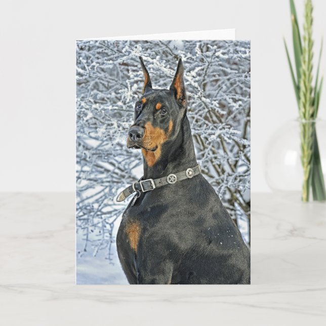 Doberman Fosty Day Kort (Framsida)