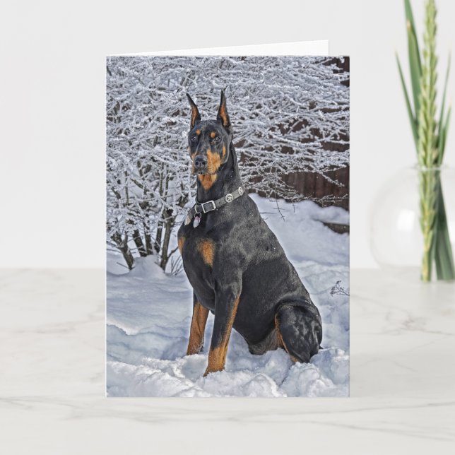 Doberman Frosty Morgon Helgkort (Framsida)