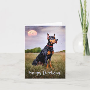 Doberman Grattis på födelsedagen Kort