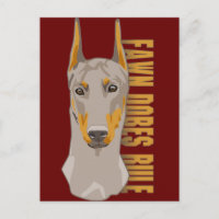 Doberman Head, Fawn Hundar Rule