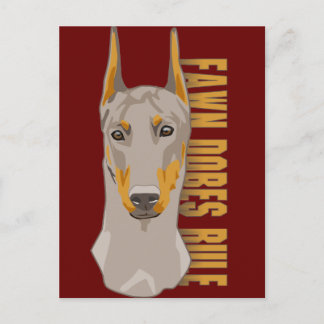 Doberman Head, Fawn Hundar Rule Vykort