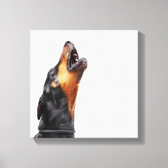 Doberman howling, närliggande canvastryck (Framsida)