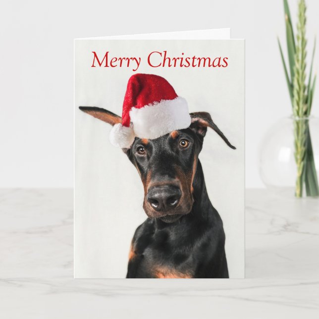 Doberman hund med julkort i jultomten helgkort (Framsida)