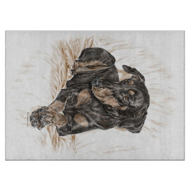 Doberman Hund Natural Öron (Framsidan)