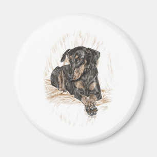 Doberman Hund Natural Öron Magnet