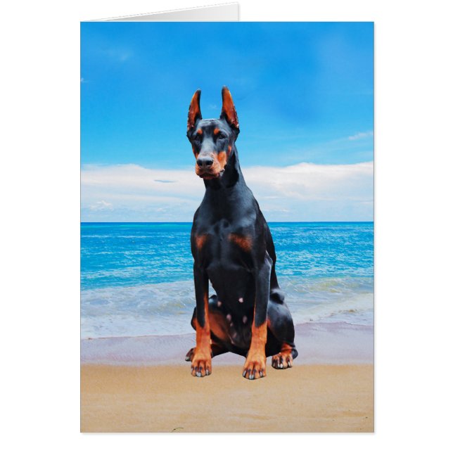 Doberman Hund Sitta vid Beach Hälsningskort (Framsidan)