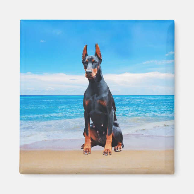 Doberman Hund Sitta vid Beach Magnet (Framsidan)