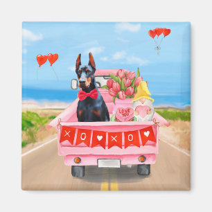 Doberman Hund Valentindagen Lastbil Hearts Magnet