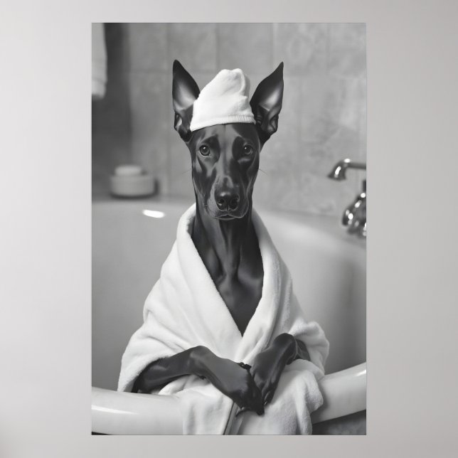 Doberman in Bathrobe, Funny Bathroom Art Poster (Framsidan)