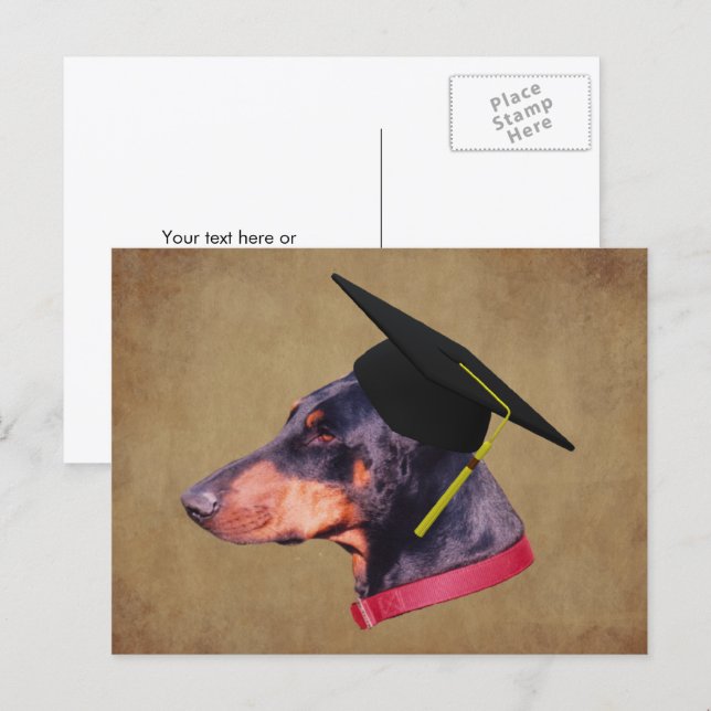 Doberman In Graduation Cap Funny Dog Personalized Vykort (Fram/baksida)