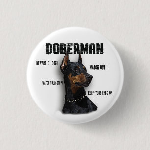 Doberman Knapp
