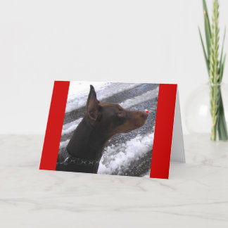 Doberman med det röda näshelgdagkortet helgkort