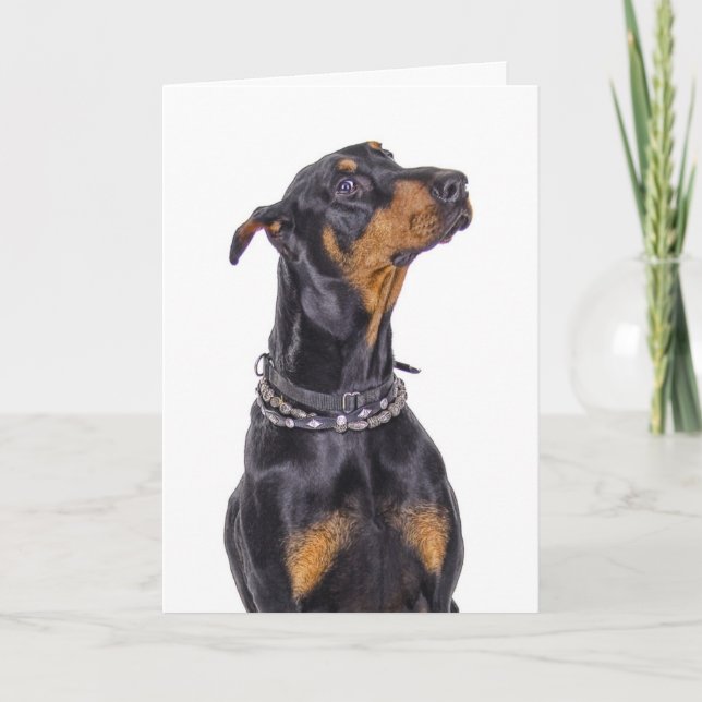 Doberman med lömsk Look vem mig? Kort (Framsida)