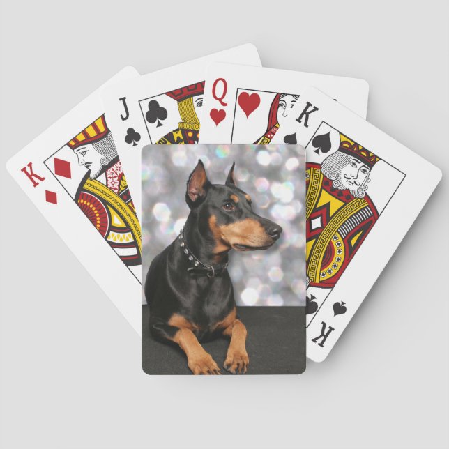 Doberman - Megyan Casinokort (Baksidan)