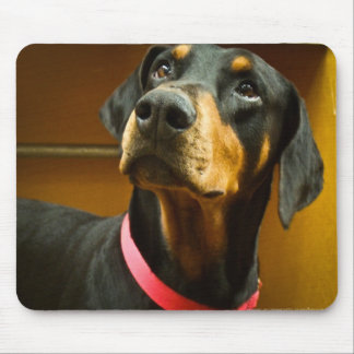 Doberman Mousepad Musmatta