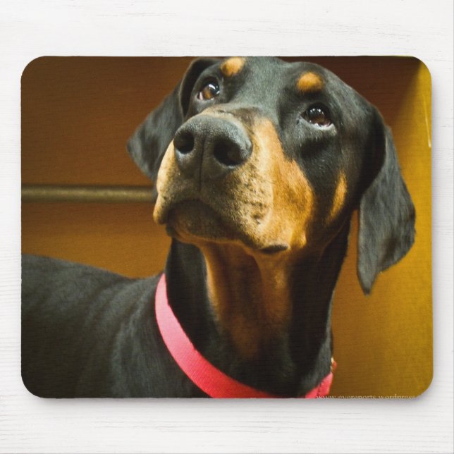 Doberman Mousepad Musmatta (Framsidan)