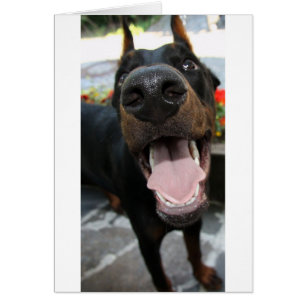 doberman nära hälsningskort