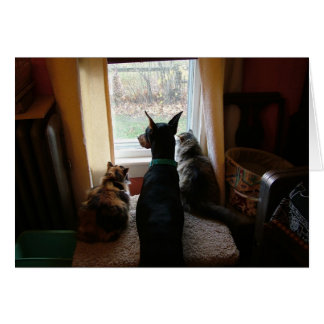 Doberman och Cats Hälsningskort