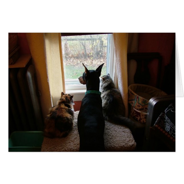 Doberman och Cats Hälsningskort (Framsidan Horizontal)