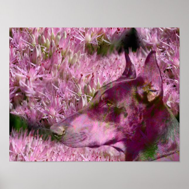 Doberman och Rosa Flowers Fantasy Hund Art Poster (Framsidan)