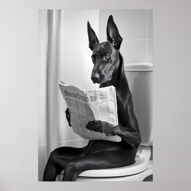 Doberman on Toilet, Newspaper, Funny Bathroom Art Poster (Framsidan)