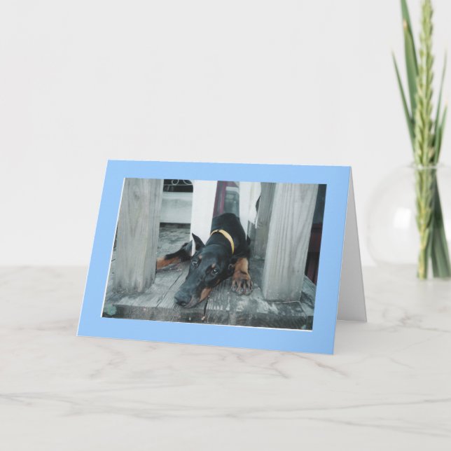 Doberman, önskar att du var här kort (Framsida)