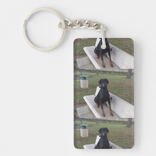 doberman pincher sitta (Framsidan)