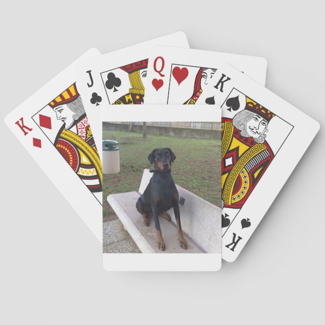 doberman pincher sitta casinokort (Baksidan)