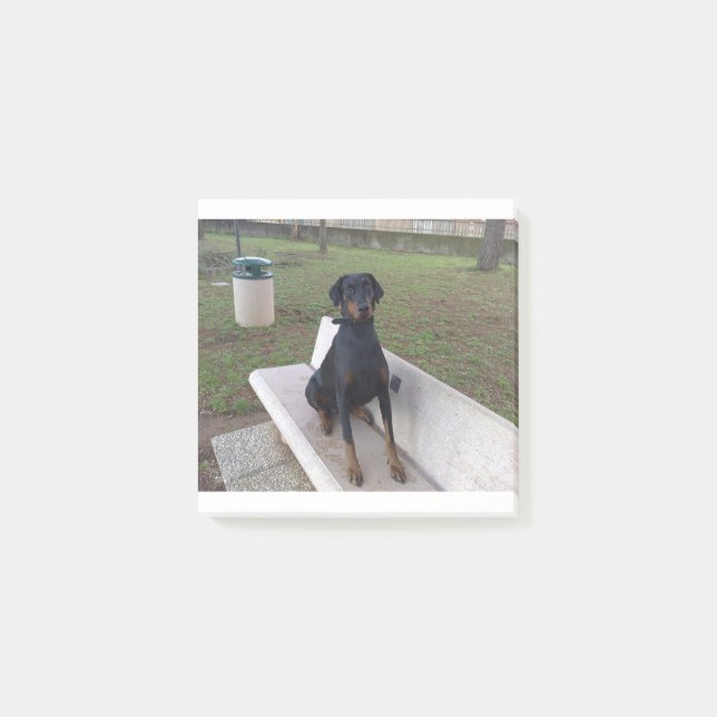 doberman pincher sitta post-it block (Framsida)