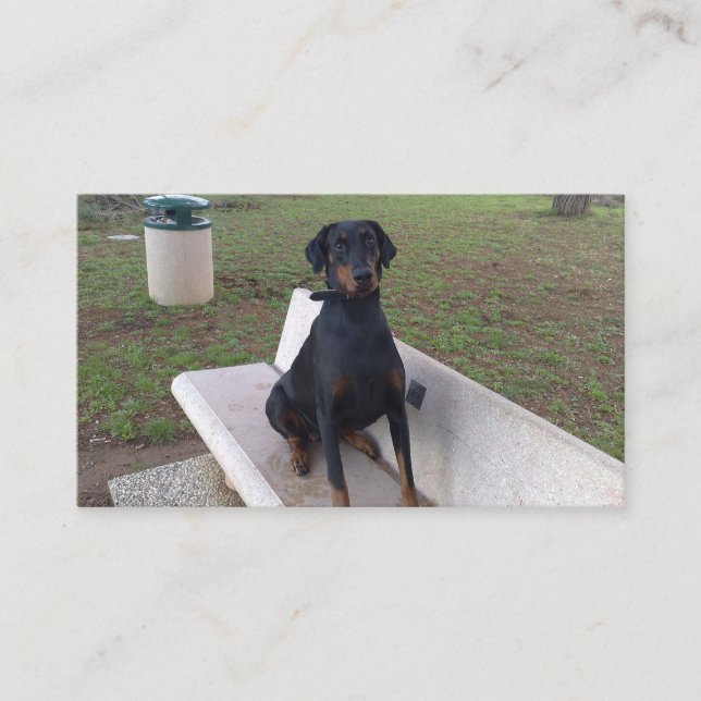 doberman pincher sitta visitkort (Framsida)