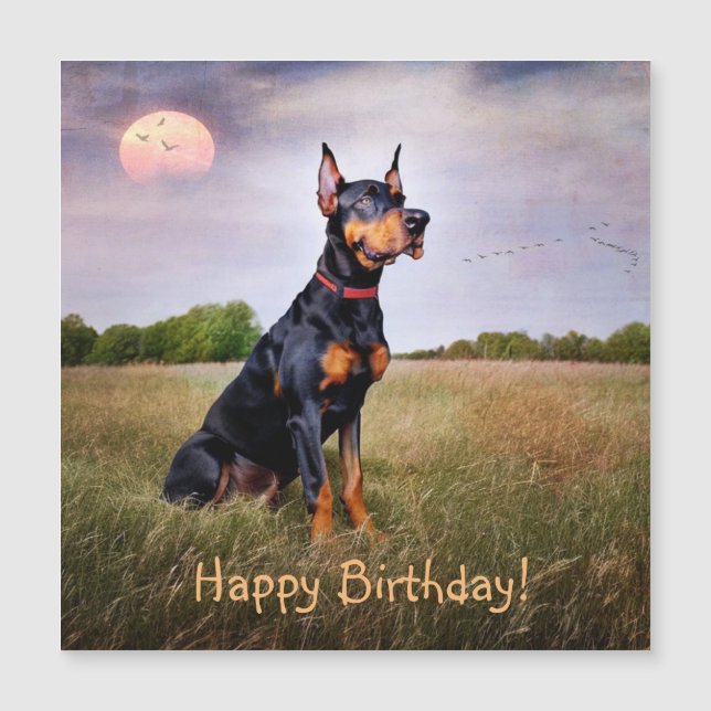 Doberman Pinscher Birthday Magnetic Card (Framsida)