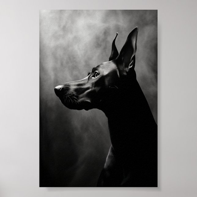 Doberman Pinscher Black and White Poster (Framsidan)