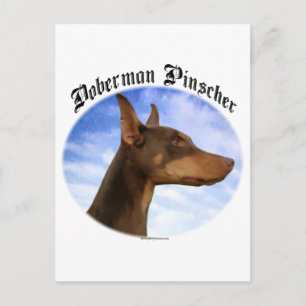 Doberman Pinscher Clouds Vykort