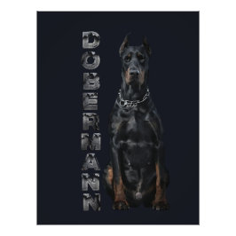 Doberman Pinscher Fototryck