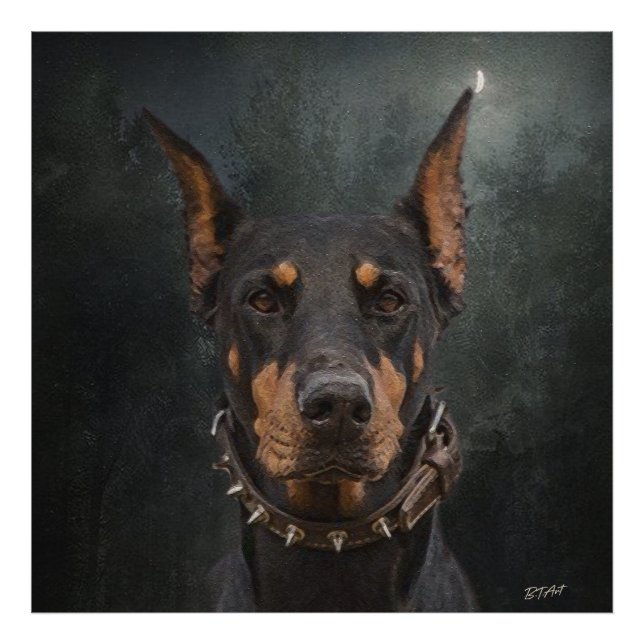 Doberman Pinscher Fototryck (Framsidan)