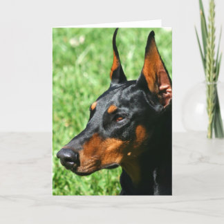 Doberman Pinscher-hälsningskort Kort