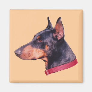 Doberman Pinscher Hund Magnet