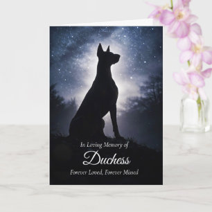 Doberman Pinscher Hund Sympati Förlust Andlig Kort