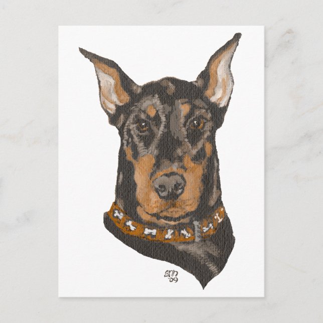 Doberman Pinscher Huvudstudie Vykort (Framsida)