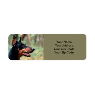 Doberman Pinscher i Skogen Returadress Etikett