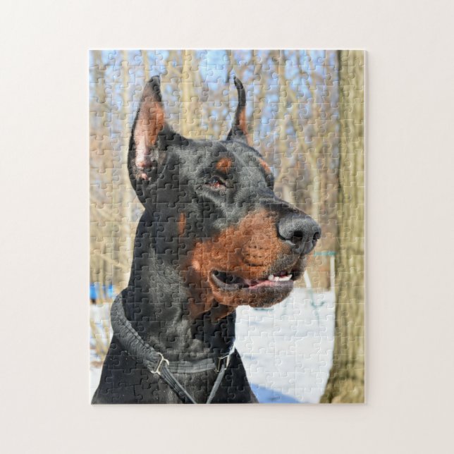Doberman pinscher i snö pussel (Vertikal)