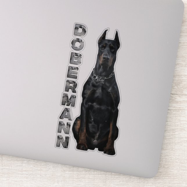 Doberman Pinscher Klistermärken (Detalj)