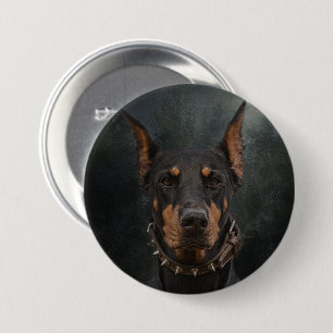 Doberman Pinscher Knapp