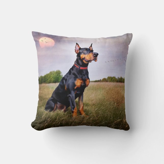 Doberman Pinscher Kudde (Framsida)