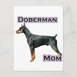 Doberman Pinscher Mamma 4 Vykort