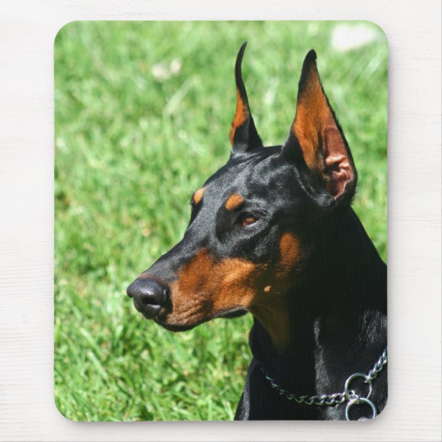 Doberman Pinscher mousepad Musmatta (Framsidan)