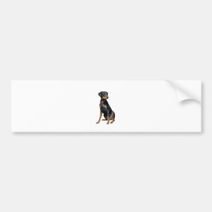Doberman Pinscher (naturlig) Bildekal