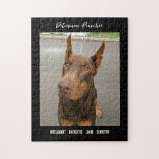 Doberman Pinscher Photo Hund aveln Jigszle Puzzle Pussel