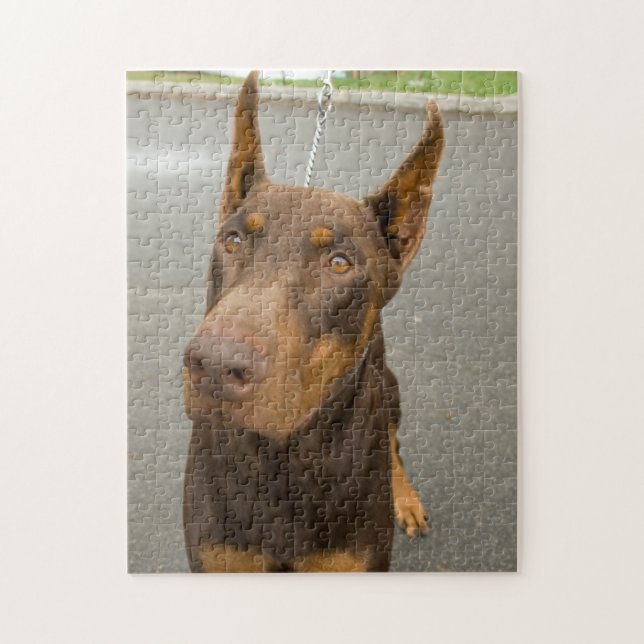 Doberman Pinscher Photo Jigszle Puzzle Pussel (Vertikal)